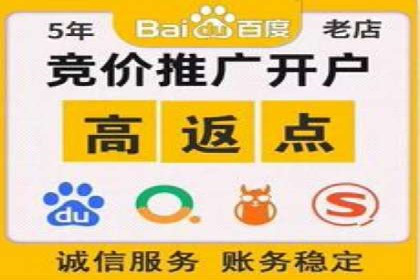 百度竞价入门必看：实操技巧与成功案例